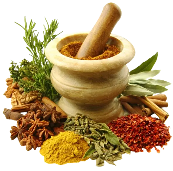 spice_vector